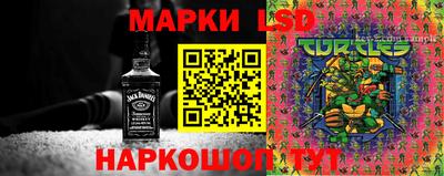 бошки Дубна