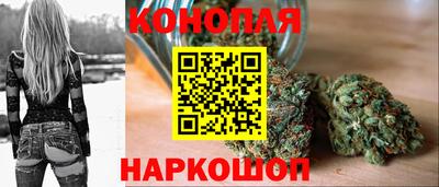 бошки Дубна