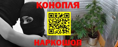 бошки Дубна